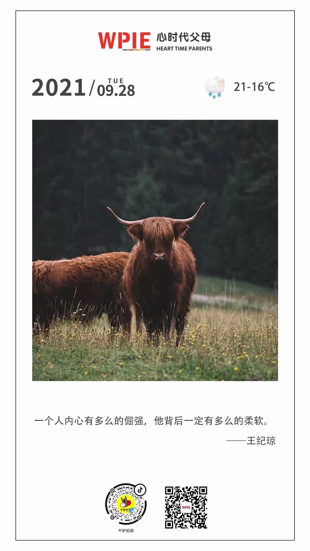 2021-09-28——一个人内心有多么的倔强，他背后一定有多么的柔软。