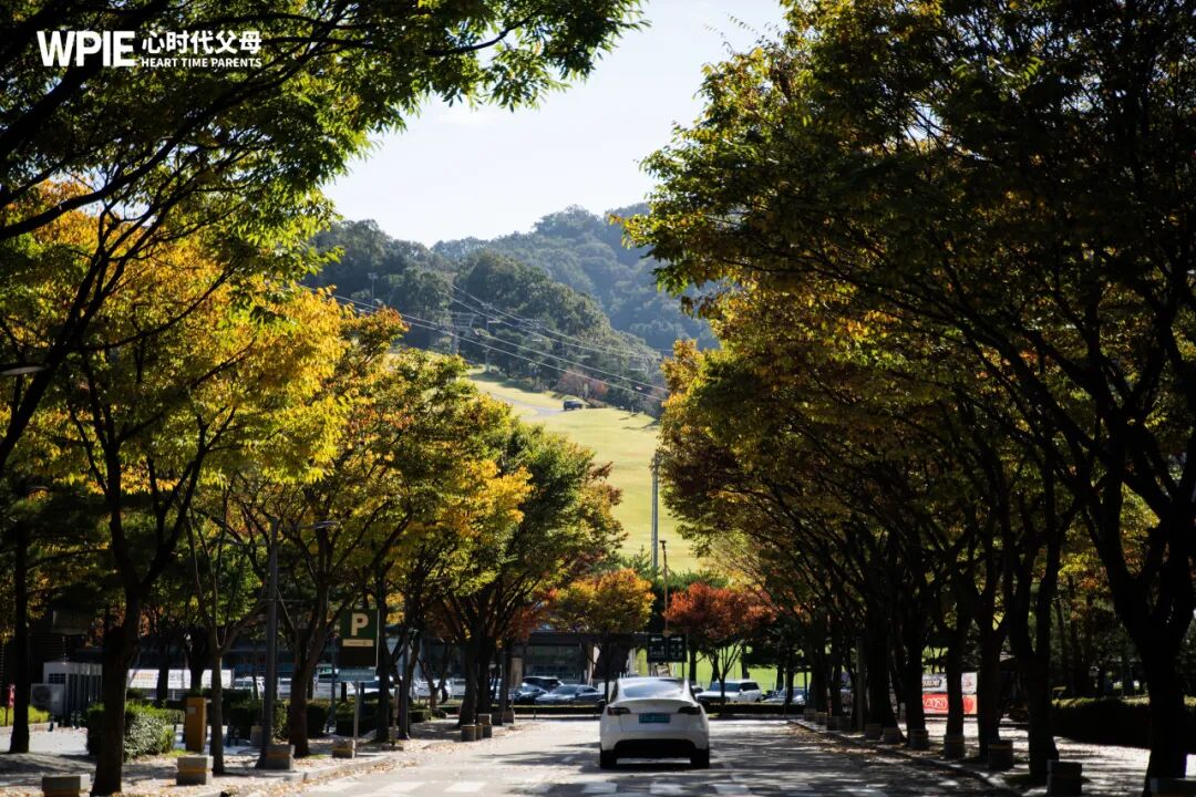 【笃行班】美学为媒,女书为礼:笃行班的韩国文化交流之旅