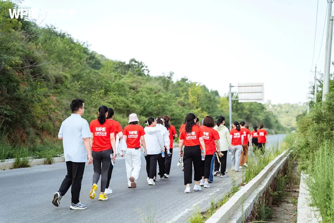 【青少年心理学专业课】从信任到重生:一位青少年心理学习者的“第三次生命”