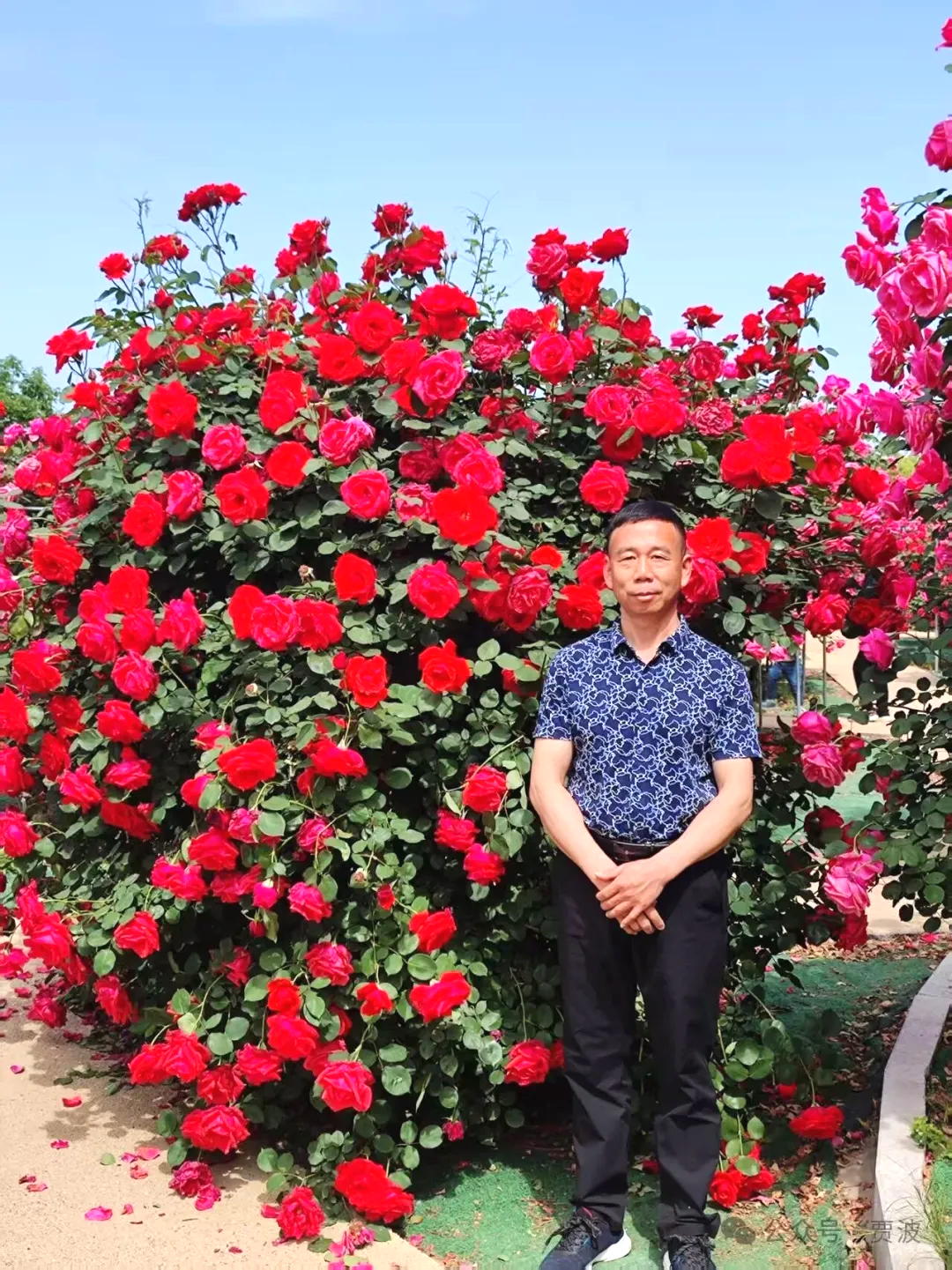 【女性力量中级班】手持心理学证书仍惹媳妇生气?直到她放了个屁,我悟了……