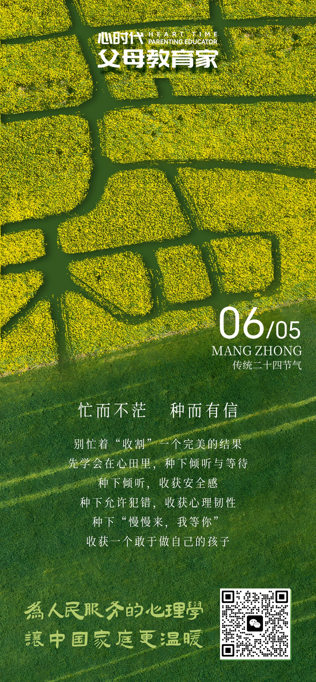 2026-6-5——忙而不茫，种而有信